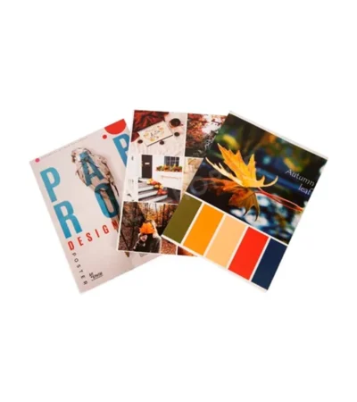 სასკოლო რვეული A4 96 ფურცლიანი უჯრა